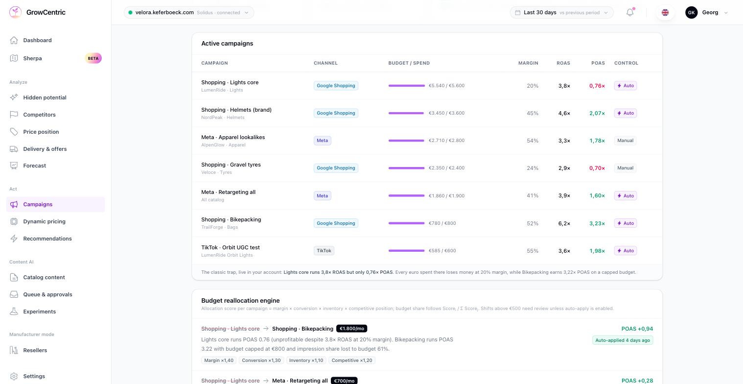 Automated Ads & Budget Allocation Dashboard